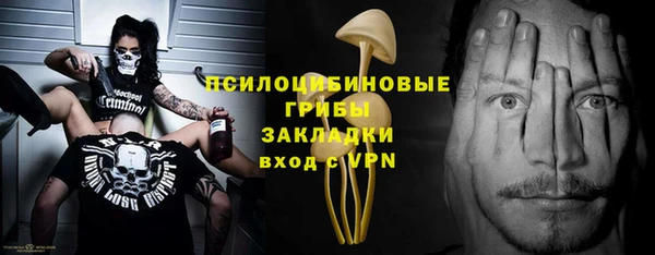 сатива Алексин